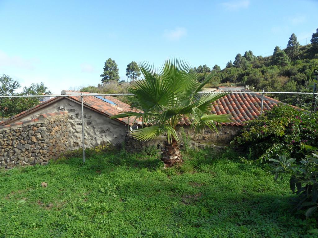 Dom wakacyjny Cueva Del Viento Icod De Los Vinos
